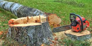 Best Firewood Processing and Delivery  in Terrell Hills, TX